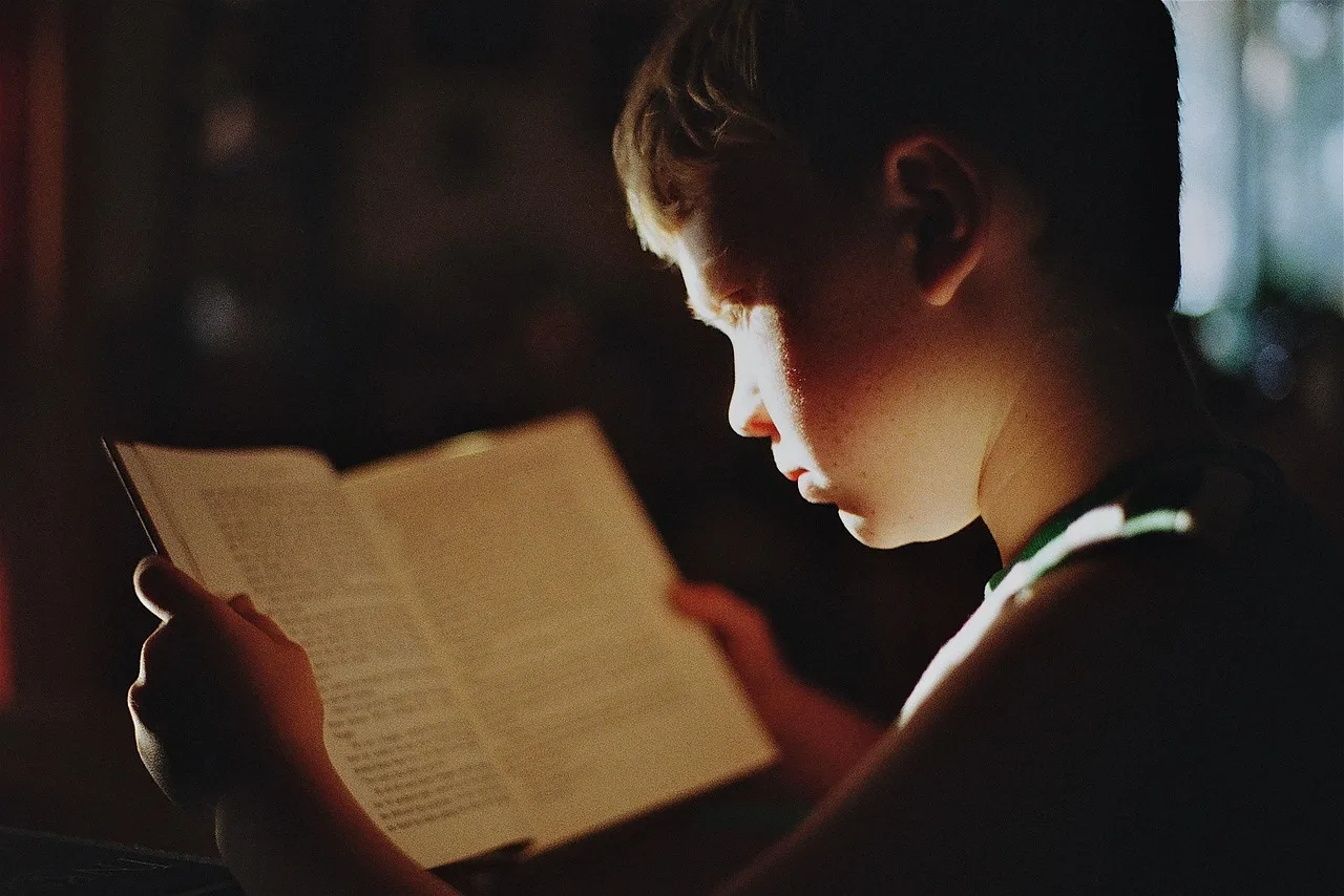 boy, book, reading, literature, read, education, study, studying, knowledge, focus, student, kid, child, young, reading, reading, education, education, education, study, study, study, study, study, studying, knowledge, focus, focus, student, student, student, student. Reading law firm content marketing examples with a sceptical eye