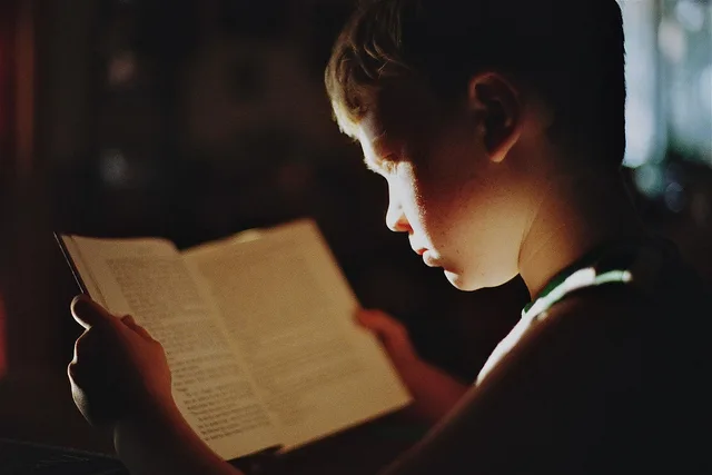 boy, book, reading, literature, read, education, study, studying, knowledge, focus, student, kid, child, young, reading, reading, education, education, education, study, study, study, study, study, studying, knowledge, focus, focus, student, student, student, student. Reading law firm content marketing examples with a sceptical eye
