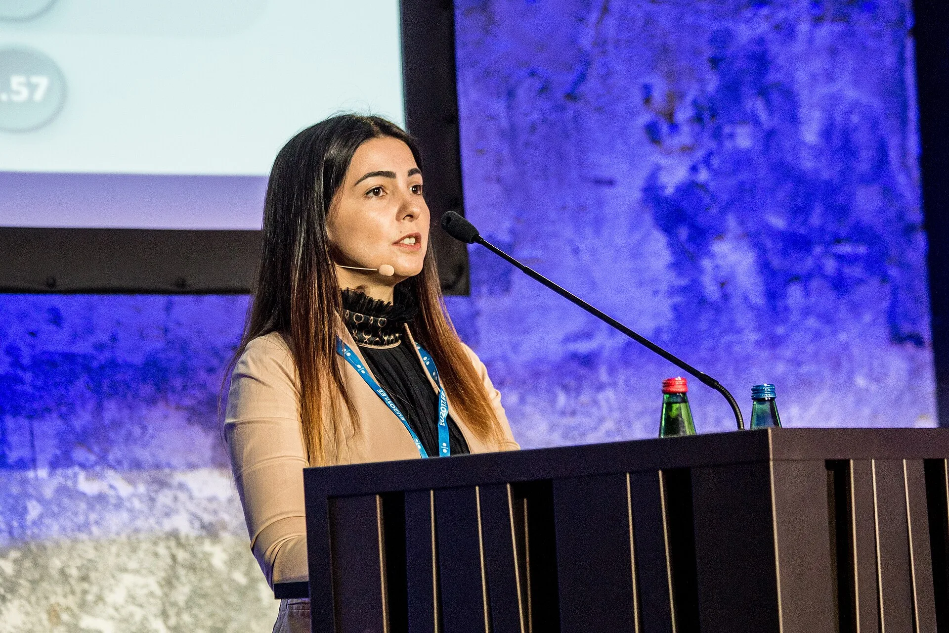 Nata Goderdzishvili, Head of Legal Division, Data Exchange Agency, Georgia Photo: Aron Urb (EU2017EE). Judging law firm marketing strategy tools: data lifecycle, not features