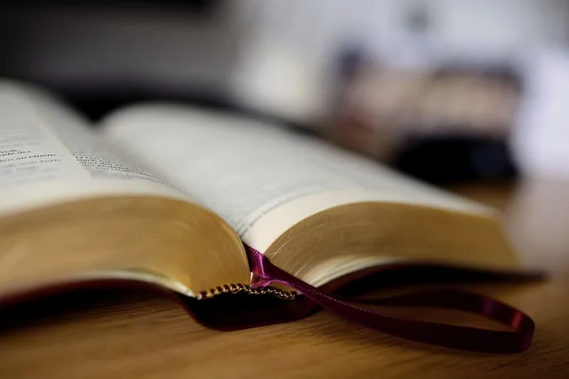book, bible, book pages, read, training, bible, bible, bible, bible, bible. Primary sources are what defensible legal SEO is actually built on