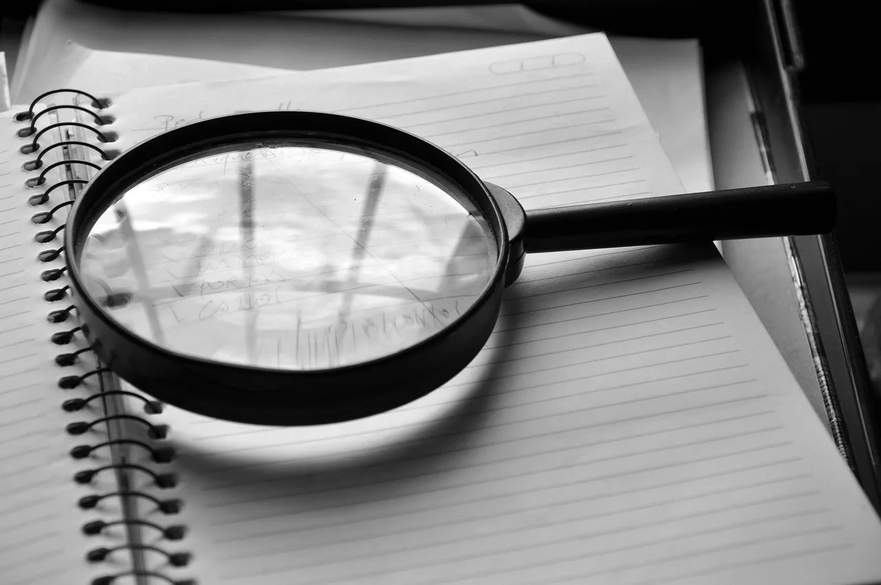 magnifying glass, journal, detail, job, the audit, magnifying glass, magnifying glass, magnifying glass, magnifying glass, magnifying glass. Twelve SEO tools compared by what they check for law firm audits